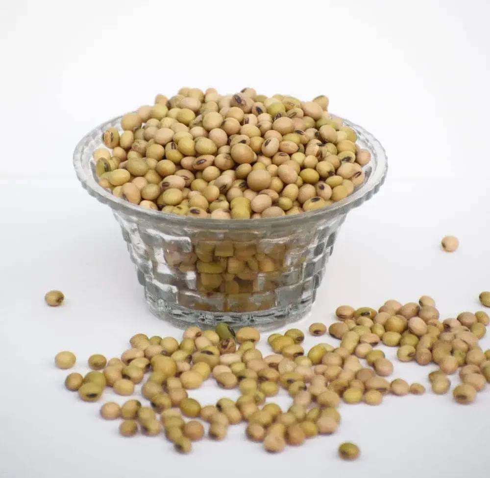 Soyabin Dal - 1Kg