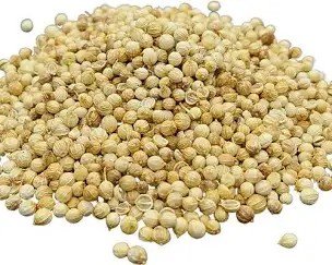 Coriander whole