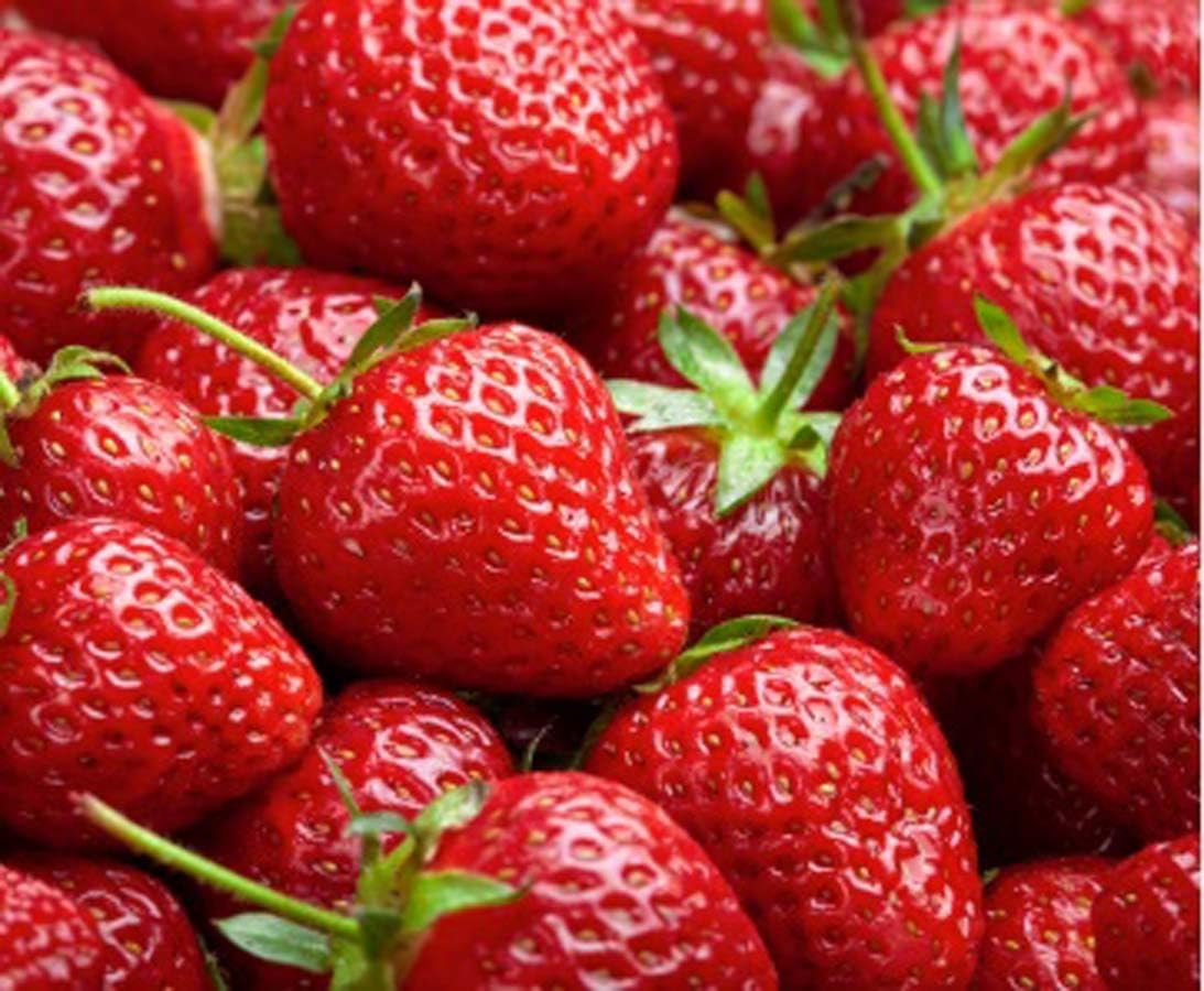 Strawberry fresh rs 280 1kg