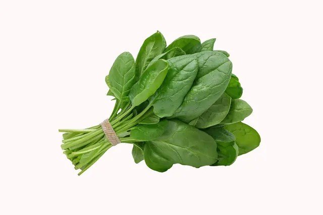 Spinach leaf (palak) rs 40 1kg