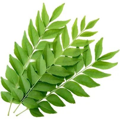 Curry leaves rs 50 1 packet