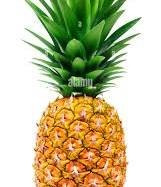 Pineapple whole rs 90