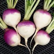 Turnip (shalgam) rs 40 1kg