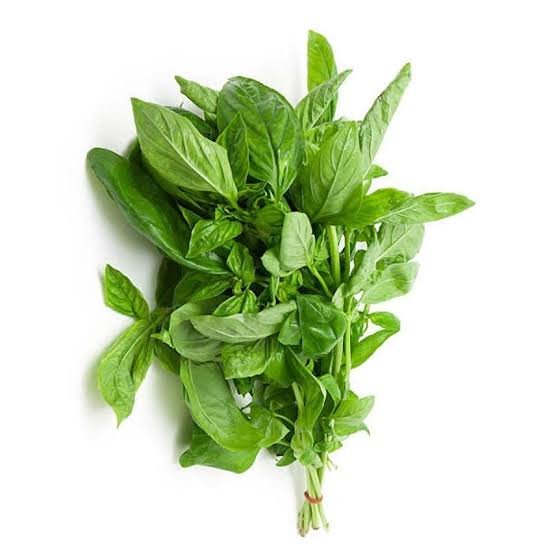 Basil leaf rs 50 1kg