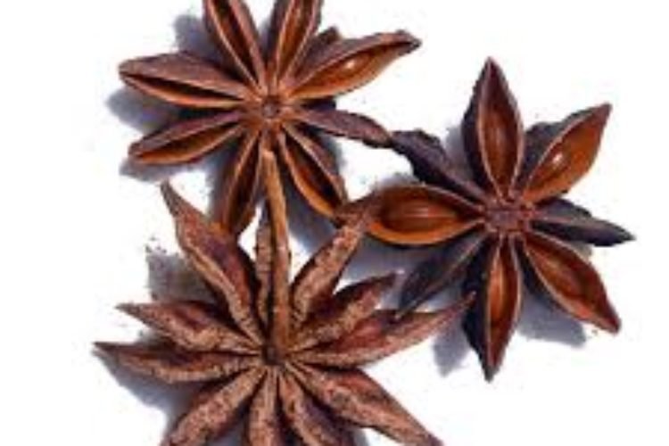 Star anise chakra phool rs 400 1kg