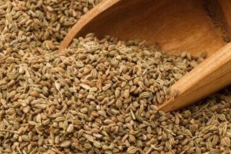 Carom seed ajwain rs 420 1kg