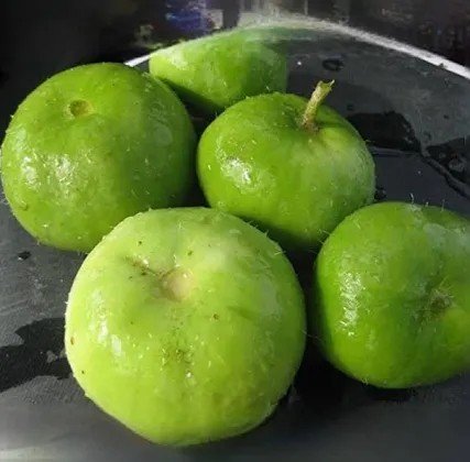 Tinda fresh rs 45 1kg